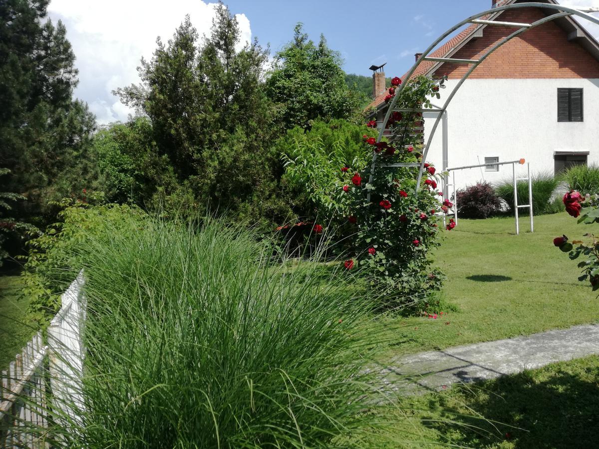 Apartment Dedine Golubăţ Exterior foto