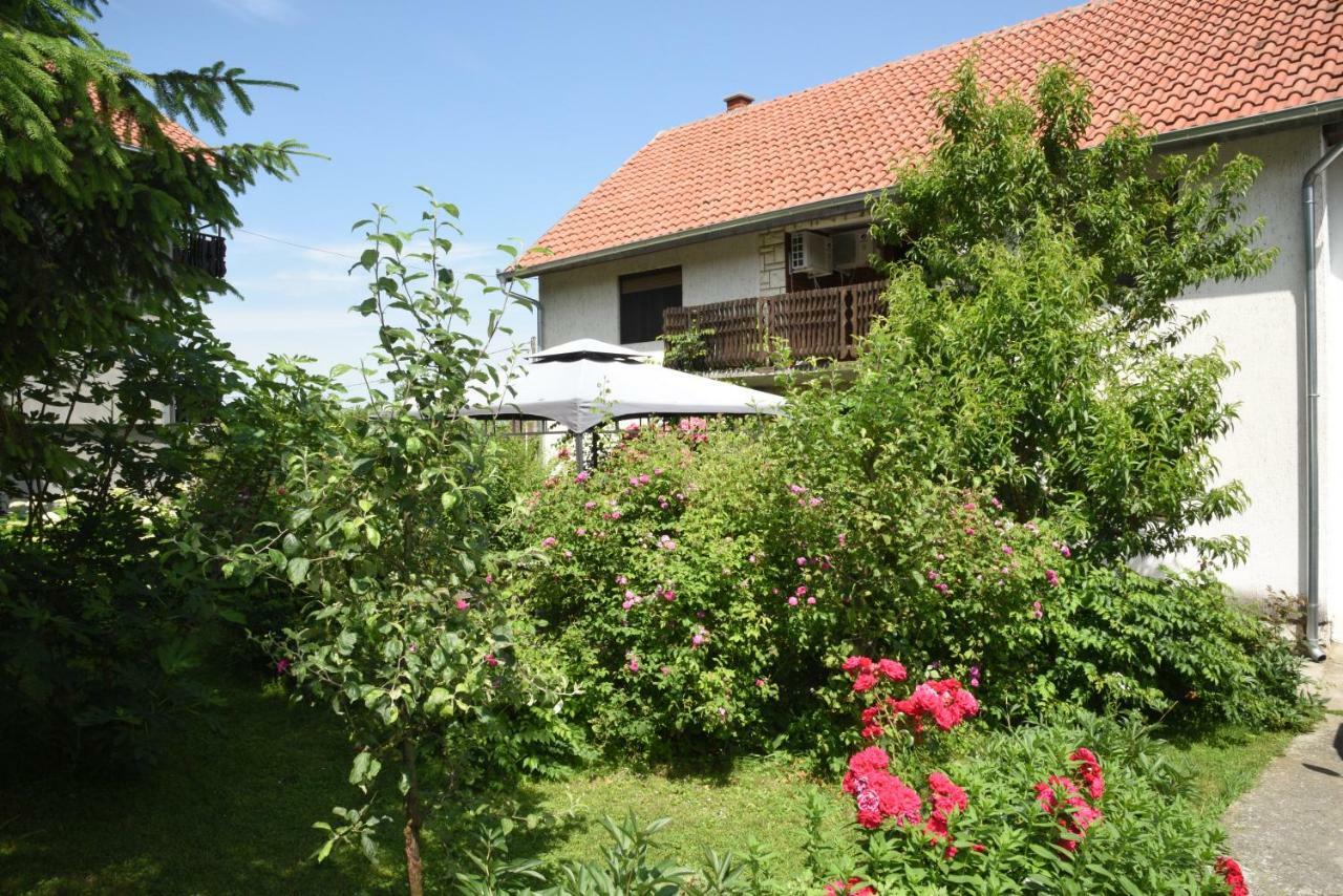 Apartment Dedine Golubăţ Exterior foto